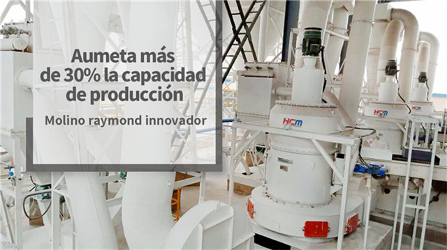 molino de raymond innovador HCM serie